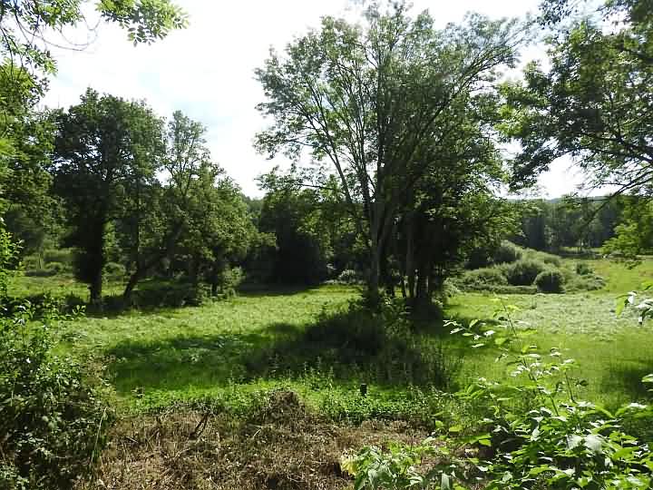 Z3