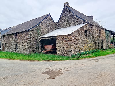 TANT22619391