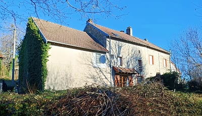 FAES88869