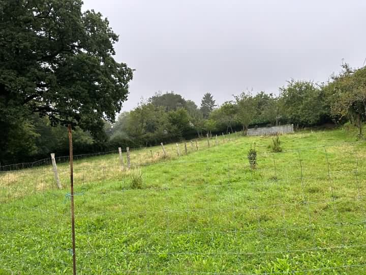 Z8