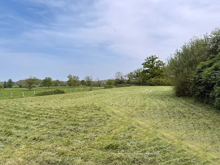 Z16