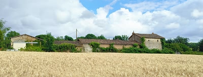 GEAY10085
