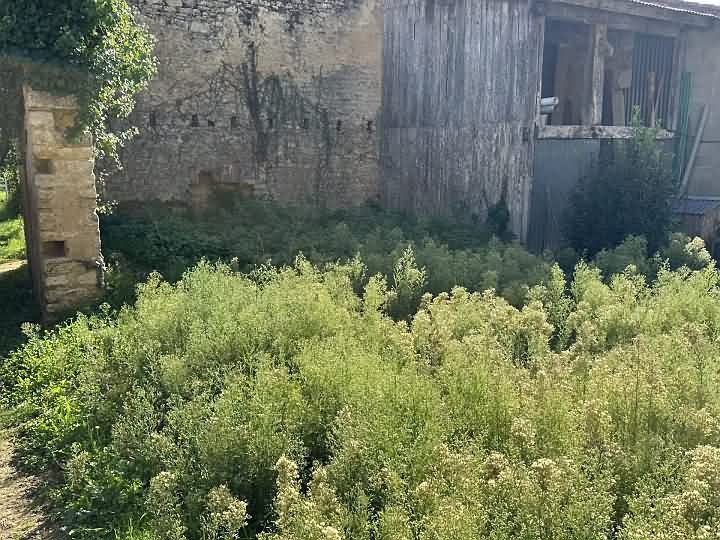 I