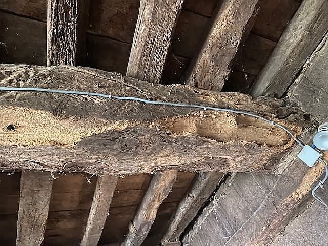 Z7