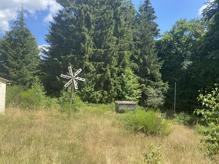 Z1