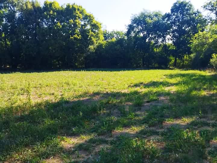 Z12