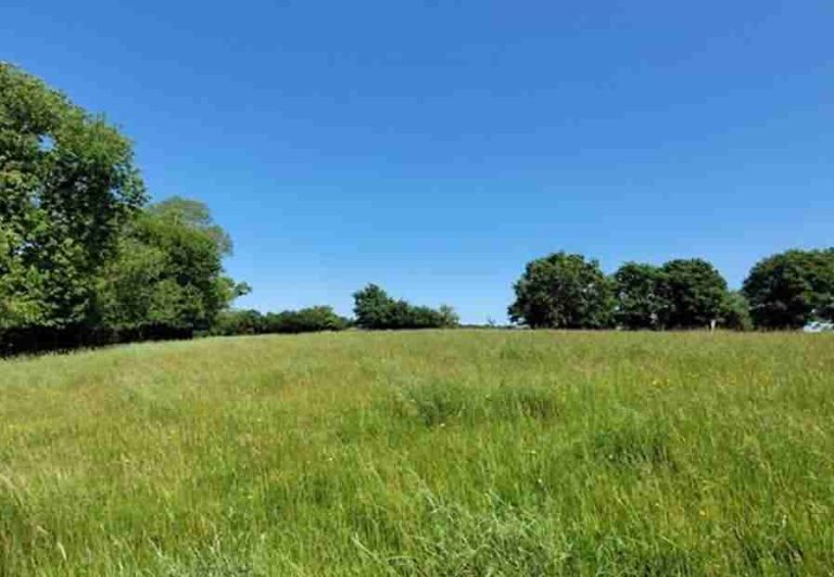Stone house to renovate near Bion