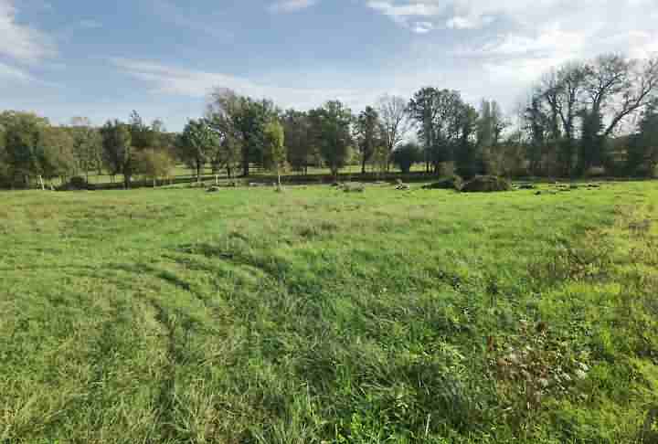 Plot of land for sale near Dussac