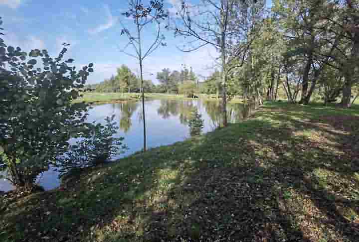 Plot of land for sale near Dussac