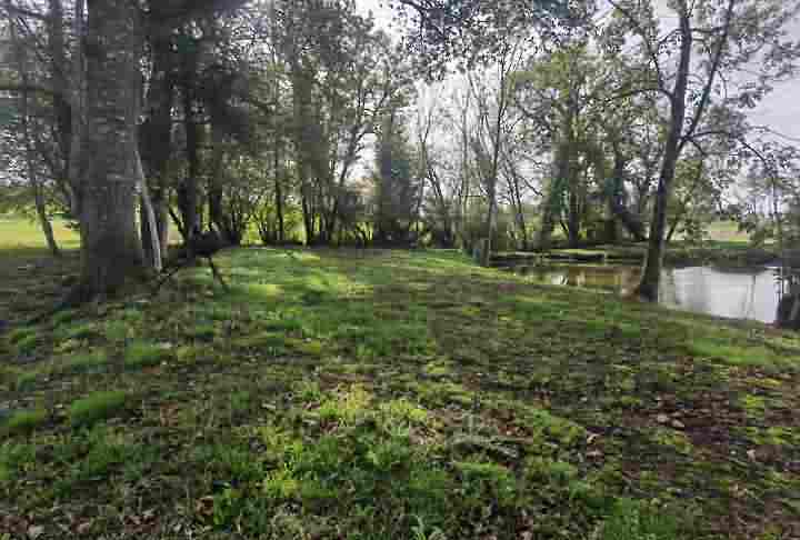 Plot of land for sale near Dussac