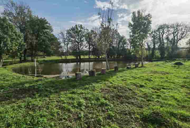Plot of land for sale near Dussac