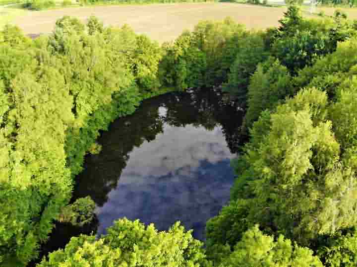 5 bed stone house for sale near Lesbois