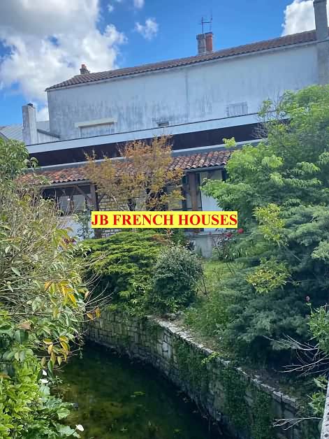 Haimps