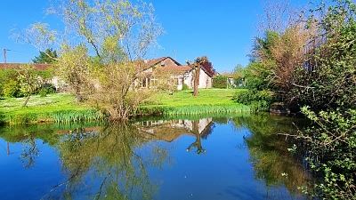 Goulat