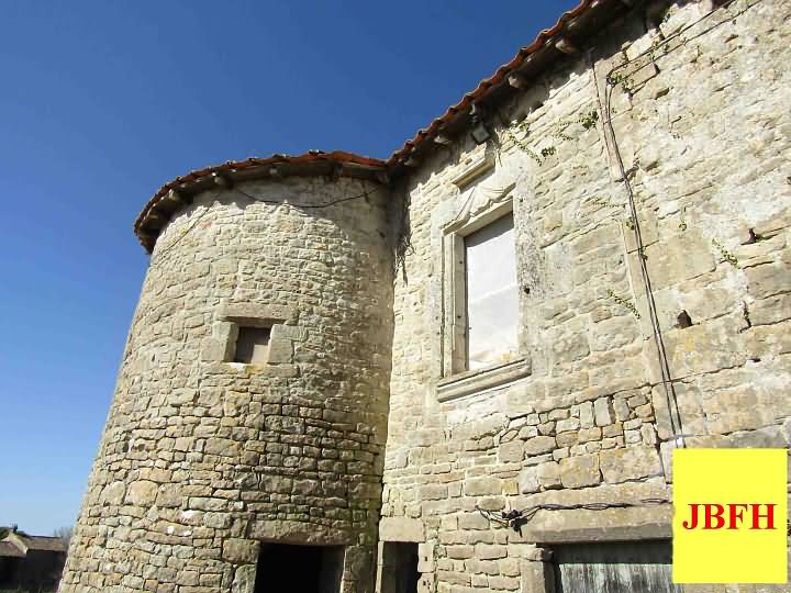 Ardilleux