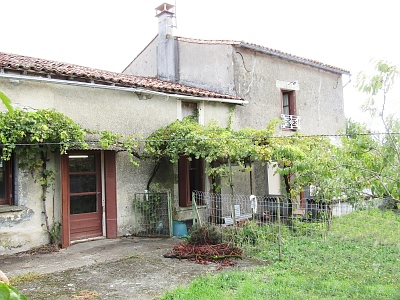Ardilleux