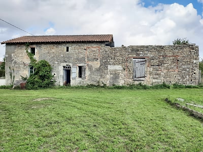 Ardilleux