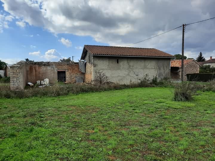 Ardilleux