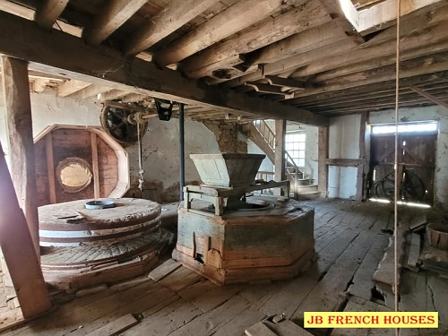 Detached house to renovate near Mantilly