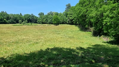 Plot of land for sale near Goulat