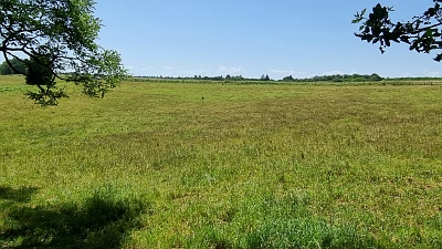 Plot of land for sale near Goulat