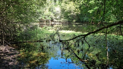 Plot of land for sale near Goulat