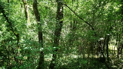 Plot of land for sale near Goulat