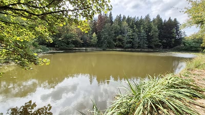 Plot of land for sale near Goulat