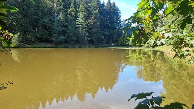 Plot of land for sale near Goulat