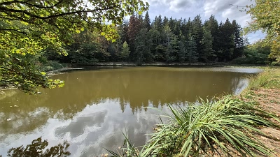 Plot of land for sale near Goulat