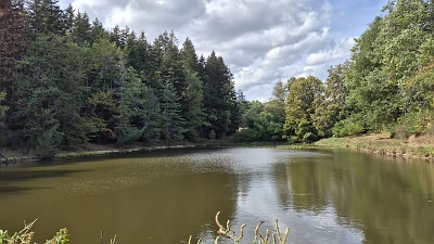 Plot of land for sale near Goulat