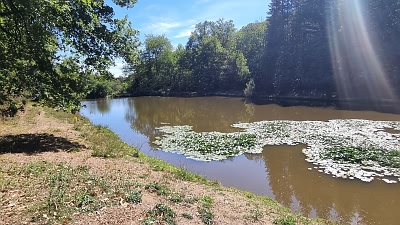 Plot of land for sale near Goulat