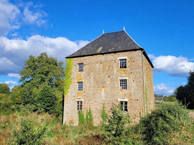 Detached house to renovate near Mantilly